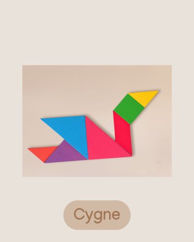 Jeux Puzzle Tangram en bois - Jeux Montessori 4 ans et jusqu'à 8 ans pour enfant - JouetApprends
