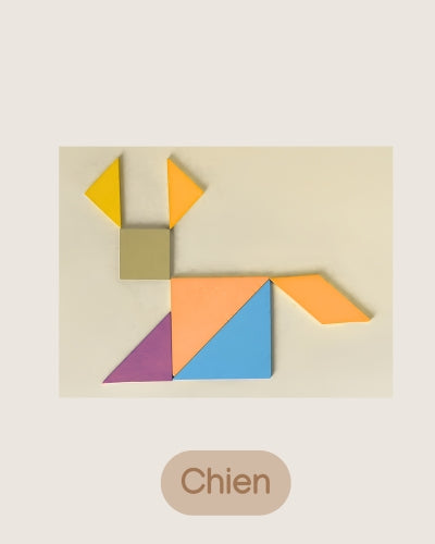 Jeux Puzzle Tangram en bois - Jeux Montessori 4 ans et jusqu'à 8 ans pour enfant - JouetApprends